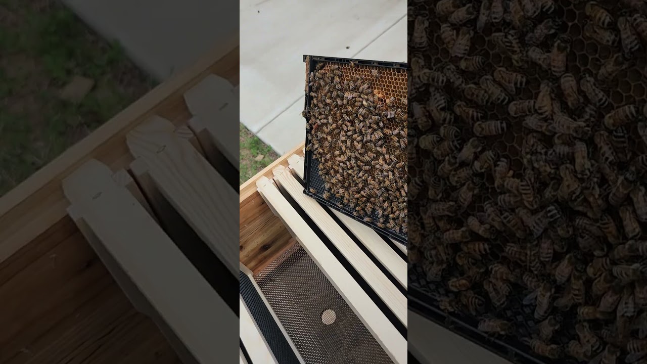 Rescue swarm is getting a new home! 