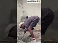 🤣#bridtrend masala chatne ki badi tarkeeb masala fenka hai ya #subscribe 🤣🤣🤣