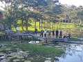 Puerto Candelaria en El Amazonas