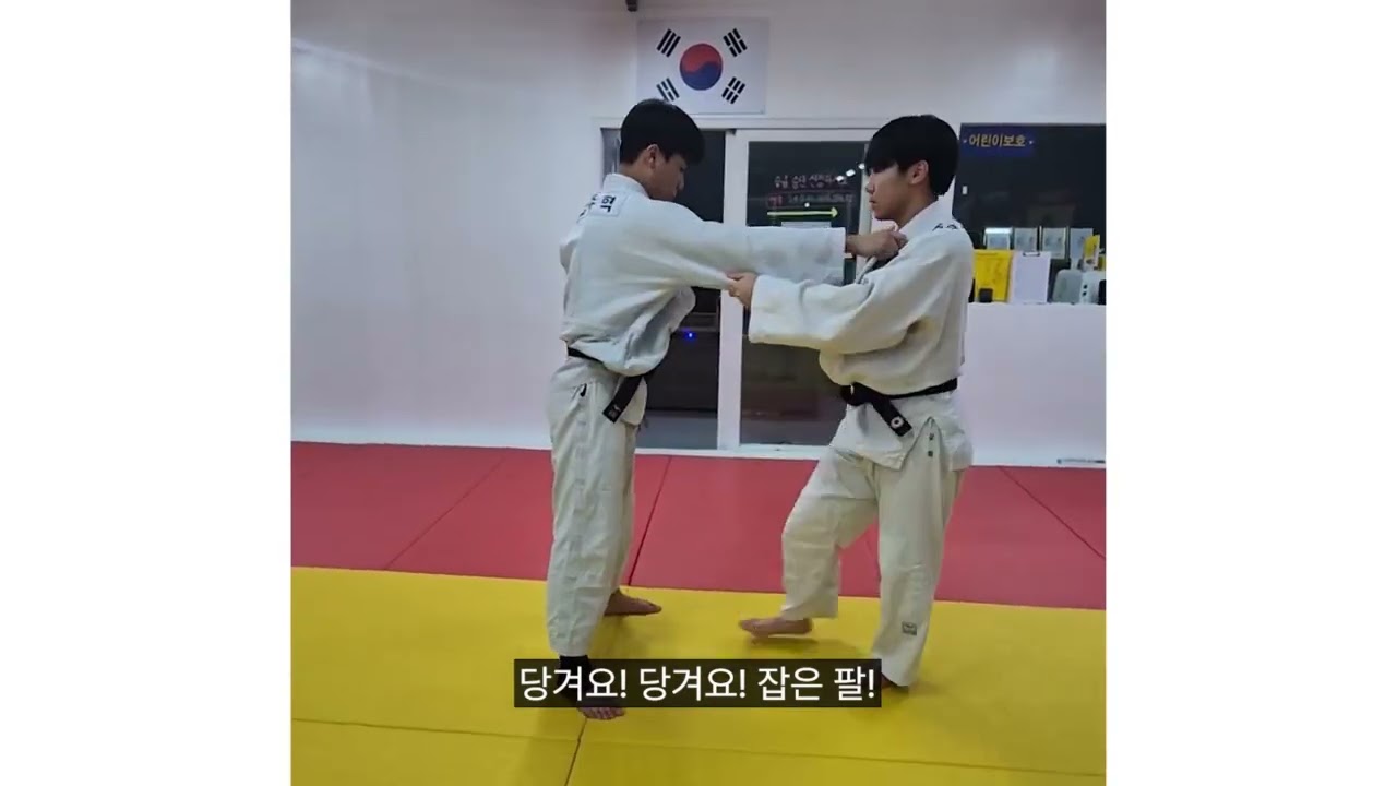 한팔업어치기를 노래하다.