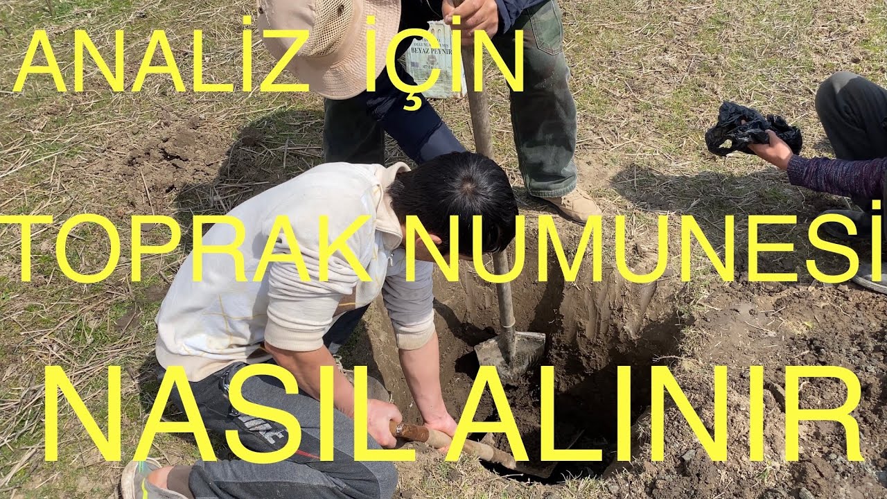 TOPRAK ANALİZİ İÇİN TOPRAK NUMUNESİNİ NASIL ALIYORUZ. Ceviz Adam Ahmet