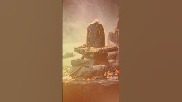 सर में दर्द बहुत रहता है तो इस उपाय को करें #pandit_pradeep_ji_mishra #shorts  #sehore #wale