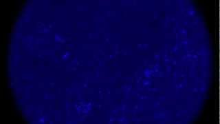 Miguel Bastida - Static Breaker (Original Mix) BE ONE RECORDS.mov