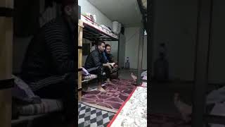 Bingol Şewti Megri Megri
