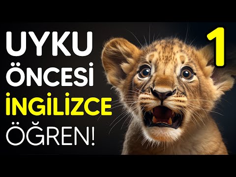 İngilizce Hikaye Türkçe Çeviri | Uyumadan önce izlenecek videolar