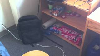 Innis college residence suite/dorm.