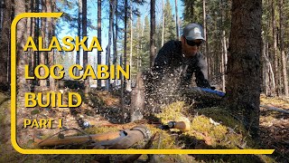 Off Grid Alaska Rustic Log Cabin Build. No Experience