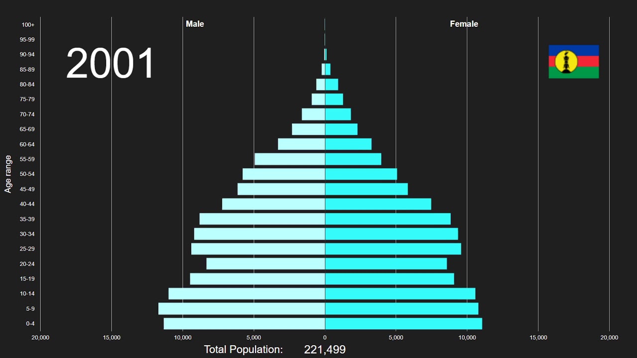 New Caledonia Population Pyramid 19502100 YouTube