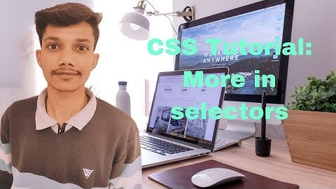 #29, CSS Tutorial : More on selectors || complete Web Development course.