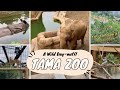 A Wild Day Out: Exploring Tama Zoo in Tokyo(多摩動物公園)