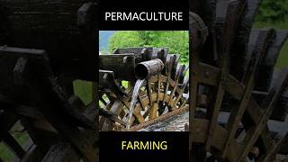 Permaculture Farming: Permanent Agriculture #shorts