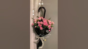 تلاوه تريح القلب❤️حالات واتس اب صباحيه قران📖❤️صباحيات قران🌹صباحيات دعاء🎀استوريات قران#صباحيات