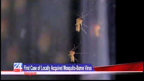 Chikungunya Virus Getting Closer