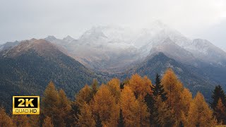3 Hours of Enchanting Autumn Nature Scenes - Relaxing Piano Music for Stress Relief by Heart Music 335 views 5 months ago 3 hours, 16 minutes