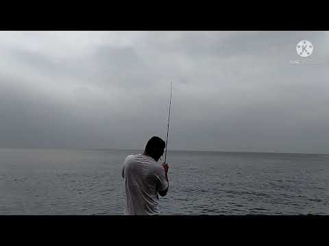 DENTERLIX Fishing : Bacoretas a Spinning Ligero 2/10gr. carrete 1'500 una gozada d torpedos 💪🎣👏👏🔥😜