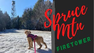Ruby And The Spruce Mountain Fire Tower
Ruby and I embark on a short walk up to Spruce Mountain Firetower in Saratoga County, Southern Adirondacks.
Merch from ADK Woods Walker:
https://youtube.com/c/ADKWoodsWalker
@ADKWoodsWalker Ruby And The Spruce Mountain Fire Tower
