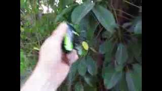 Super CP friction test