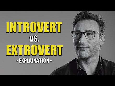 Video: Introversion Je Na Vzestupu, říká Delay