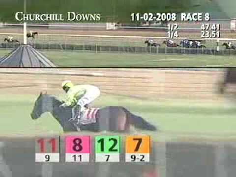 CHURCHILL DOWNS, 2008-11-02, Race 8