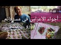 مقتطفات من عرس في ينارو