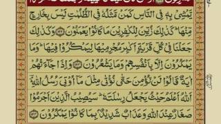 Quran Para 8 with Urdu Translation | Recitation : Mishary Rashid Alafasy