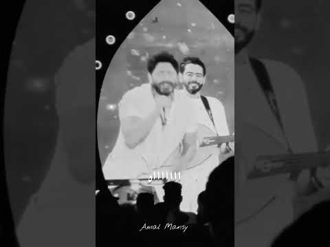 من حفل تامر حسني وامل منسي