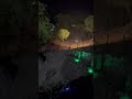 Sunehri shaam kudrat de naam Farm night with mist