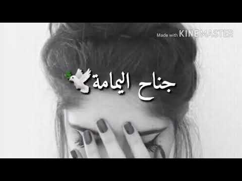 نكسر جناح اليمامه