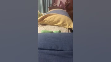 Loop #loop #loops #looping #loopy #loopers