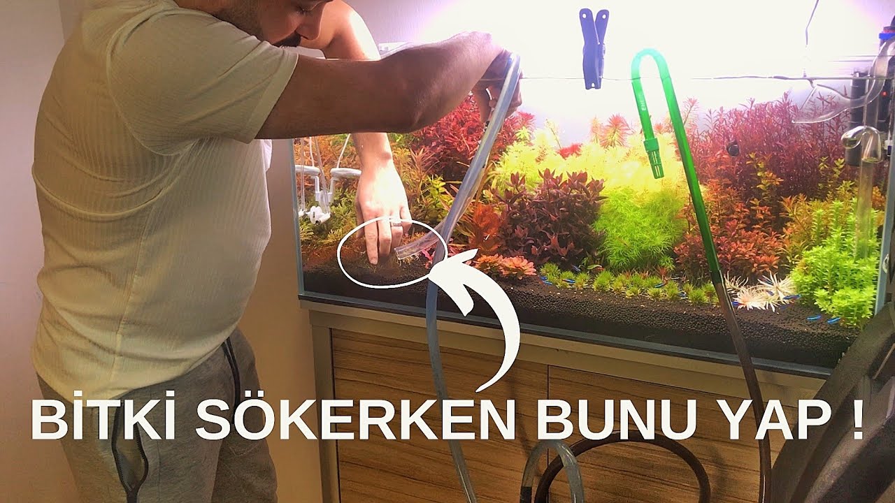 BİTKİLİ AKVARYUM DİP ÇEKİMİ SU DEĞİŞİMİ | OASE FİLTOSMART 100 ! #akvaryum #aquascape