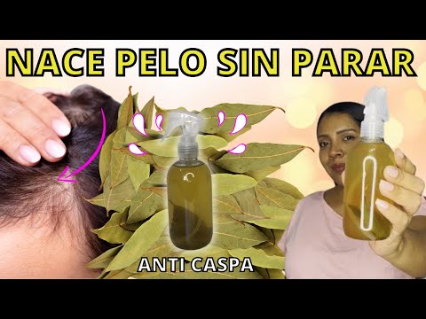 ✅REMEDIO CASERO para crecer CABELLO con laurel 😱(ANTICASPA, ANTIGRASA, ANTICAÍDA Y CRECIMIENTO)😍