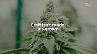 Explore Craft Is Here