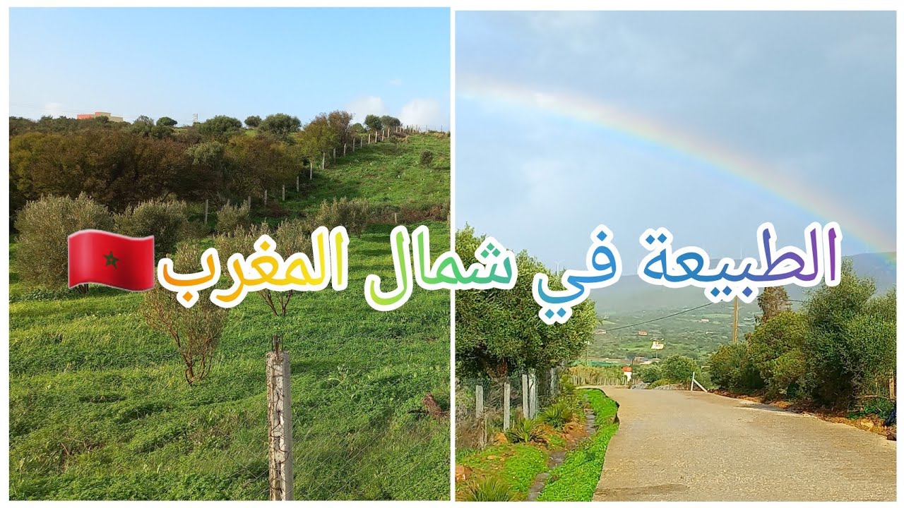 هنا شمال المغرب🇲🇦، الأمطار سبحان الله لا تتوقف🌧،إنتعاش الروح❤