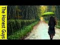 3 Hours of Dreamy Deep Relaxation Music With Rain Sounds. Meditation Muisc, Study, Sleep, Zen, Spa.