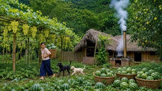 Living in the forest, harvesting watermelons to sell at the village market, and cooking.