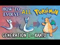 How To Evolve All Pokémon - Generation 1 Kanto