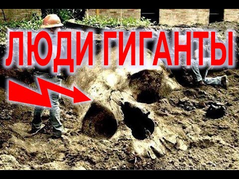 Люди Гиганты / Виктор Максименков