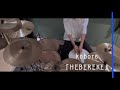 HEBEREKE / kobore【Drum Cover】
