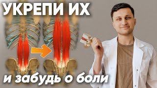 Упражнения для стабилизаторов спины. Укрепляющая лечебная физкультура для мышц поясницы