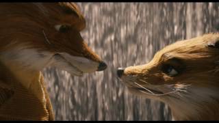 Fantastic Mr.Fox Waterfall Scene