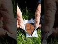 Chocolate Unboxing ll #shorts #orginal