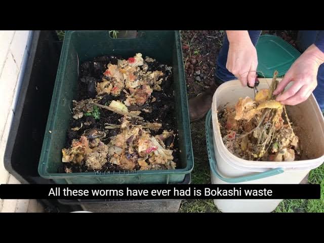 Emptying my first Bokashi hardware bucket into my tumblers : r/bokashi