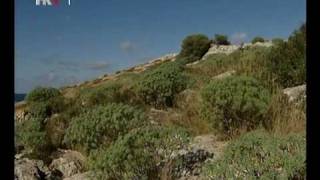 Kornati 1/3