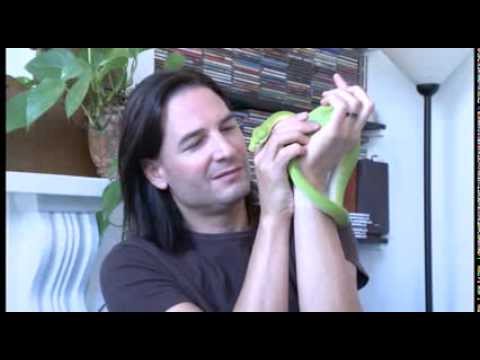 video phone beyonce mp3 Lethal Cure - Steve Ludwin 2014