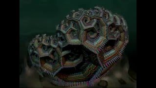 branching organism loop 1