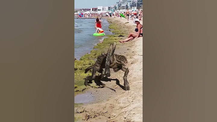 Анапа. Хозяин моря недоволен водорослями на пляже😂
