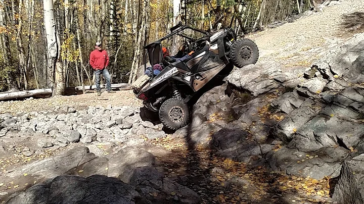 Grizzly mountain trail