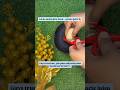Potato juice-Trust me guys, result bohot amazing hai! #shorts #youtubeshorts #viralshorts #ytshorts