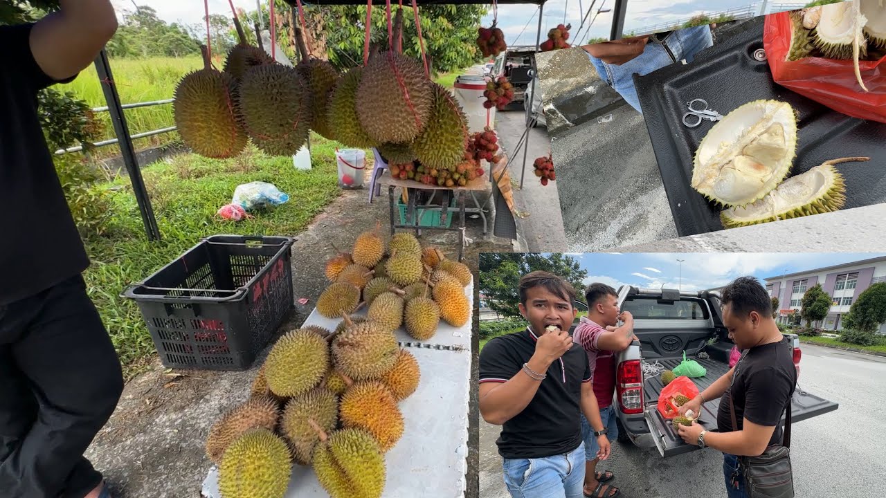 Beli Durian Di Tepi Jalan Singgah Dan Terus Makan