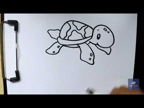 How to Draw cute sea turtle - YouTube